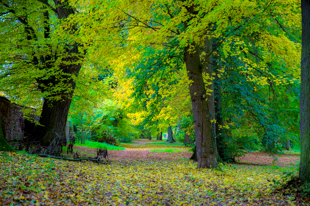 Herbst im Naturpark Kyffhäuser