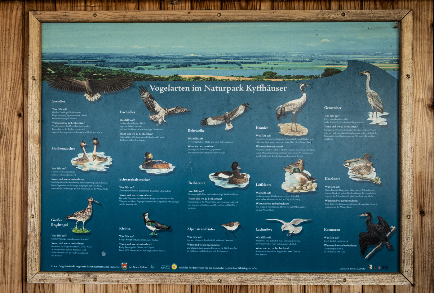 Publikationen von der Naturparkverwaltung Kyffhäuser