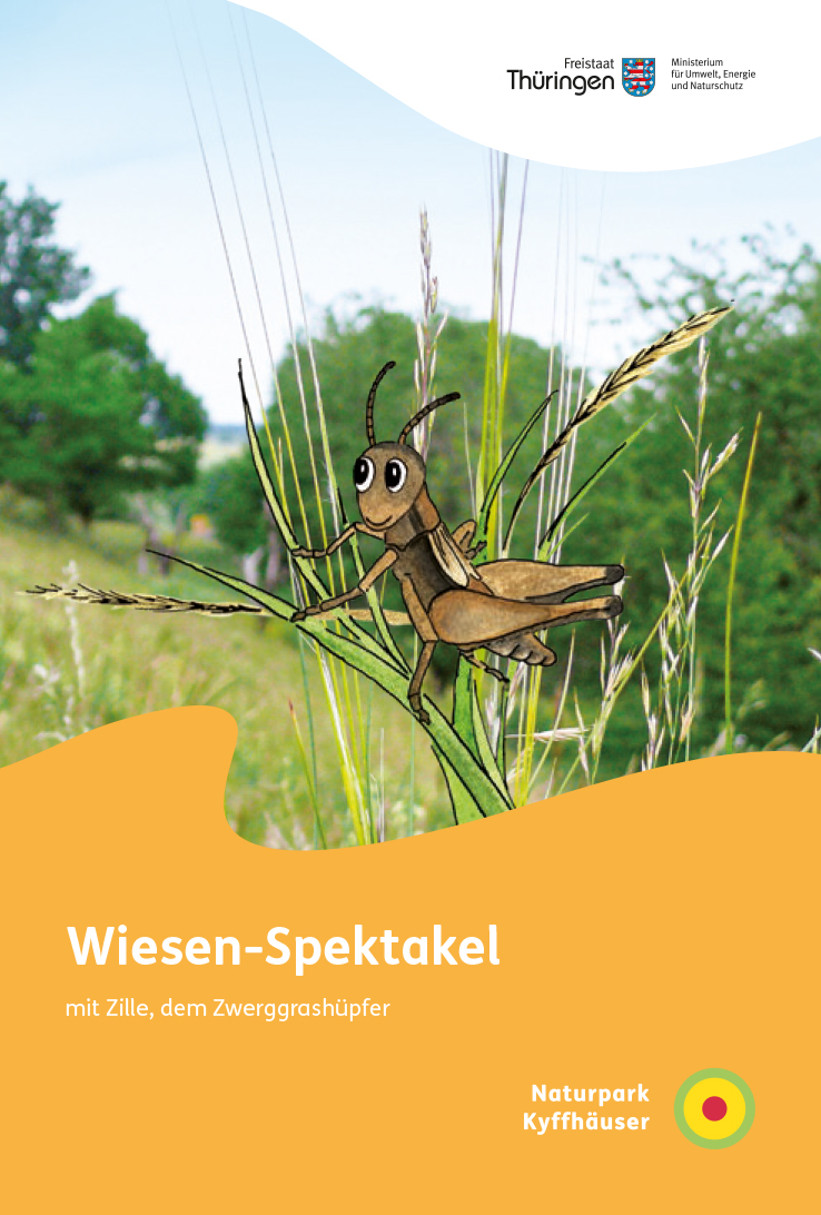 Wiesen-Spektakel mit Zille, dem Zwerggrashüpfer